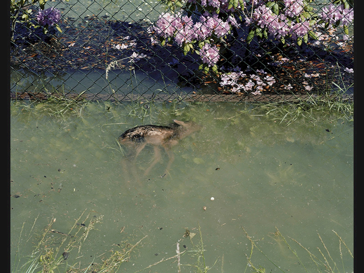 From the series „The Strange Days“ © Ute Mahler und Werner Mahler / OSTKREUZ