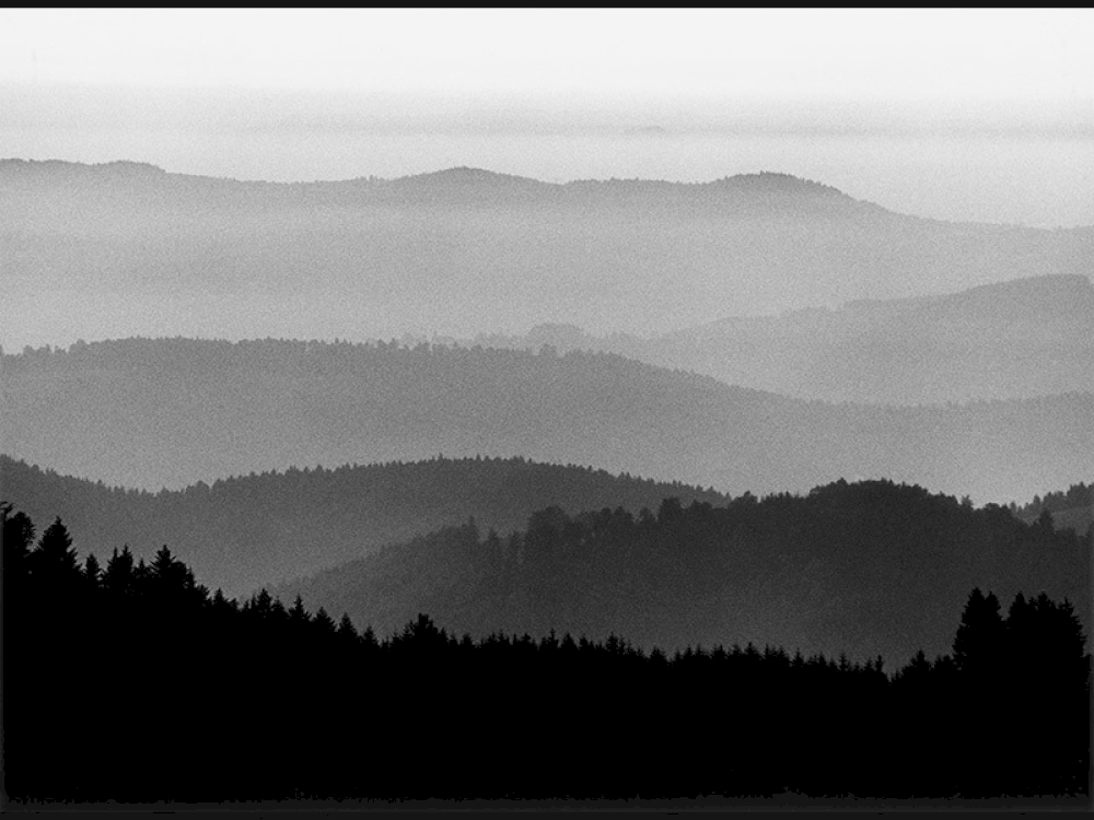 Peter Keetman: Graustufen, Schwarzwald 1980 © Nachlass Peter Keetman / Stiftung F.C. Gundlach