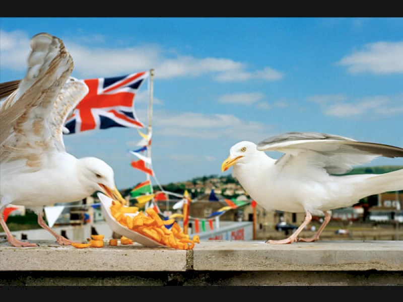 From ‘Think of England’. West Bay. Dorset. England. GB 1996 © Martin Parr/Magnum Photos