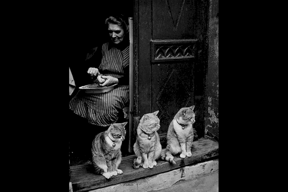 Ein Familienbild, Lübeck 1950 © Nachlass Toni Schneiders/Stiftung F.C. Gundlach