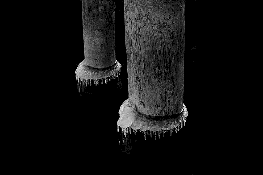 Eiskragen, Bodensee 1954 © Nachlass Toni Schneiders/Stiftung F.C. Gundlach