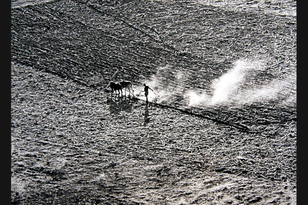 Feldarbeit bei Adami, Äthiopien 1955 © Nachlass Toni Schneiders/Stiftung F.C. Gundlach