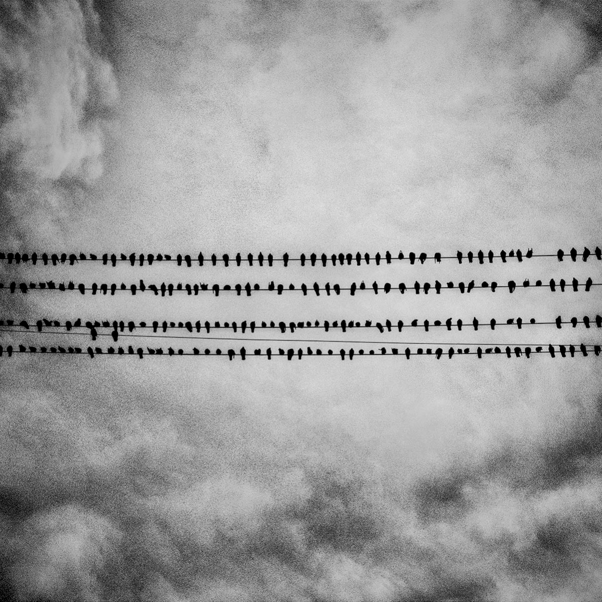 Matt Black: Tulare, California, USA, 2014 © Matt Black/Magnum Photos