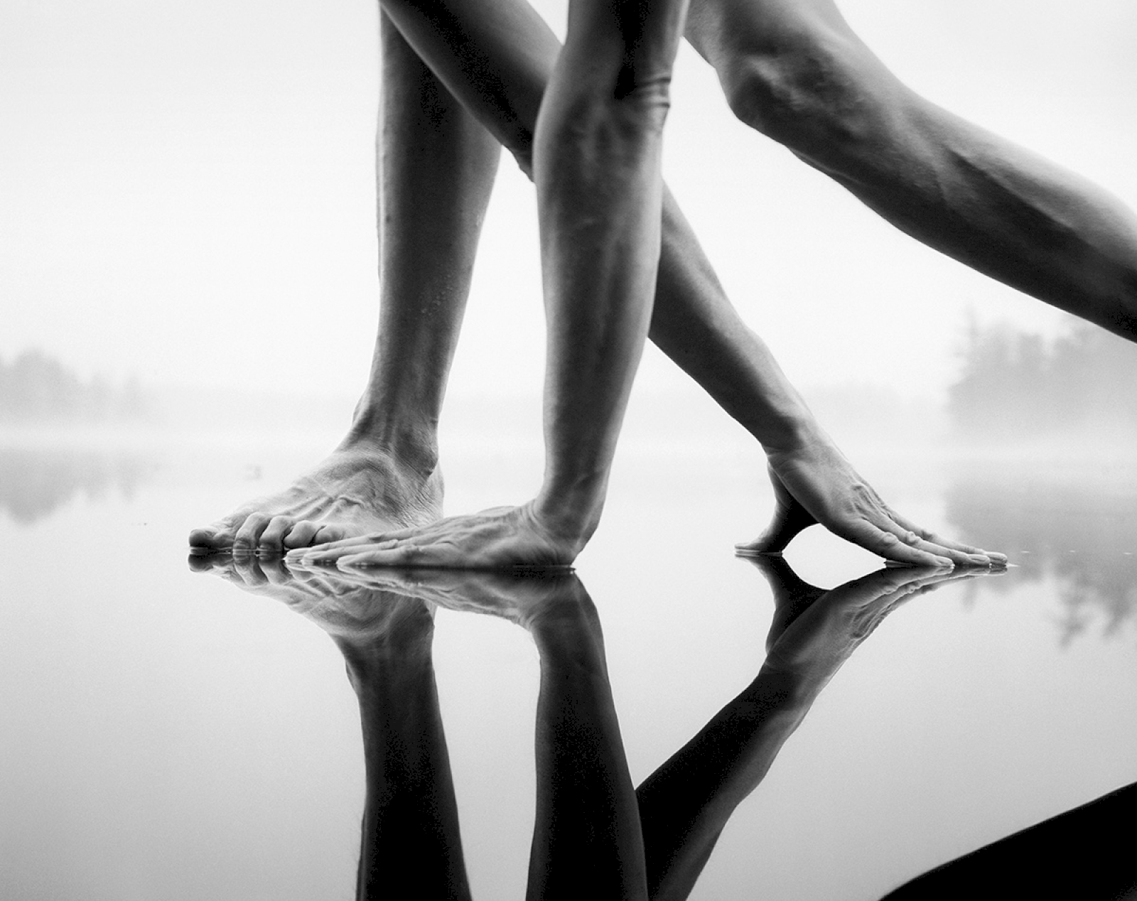 Fosters Pond II, 1989 © Arno Rafael Minkkinen