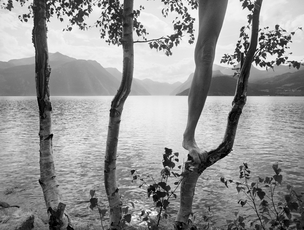 Stranda Trees, 2016 © Arno Rafael Minkkinen