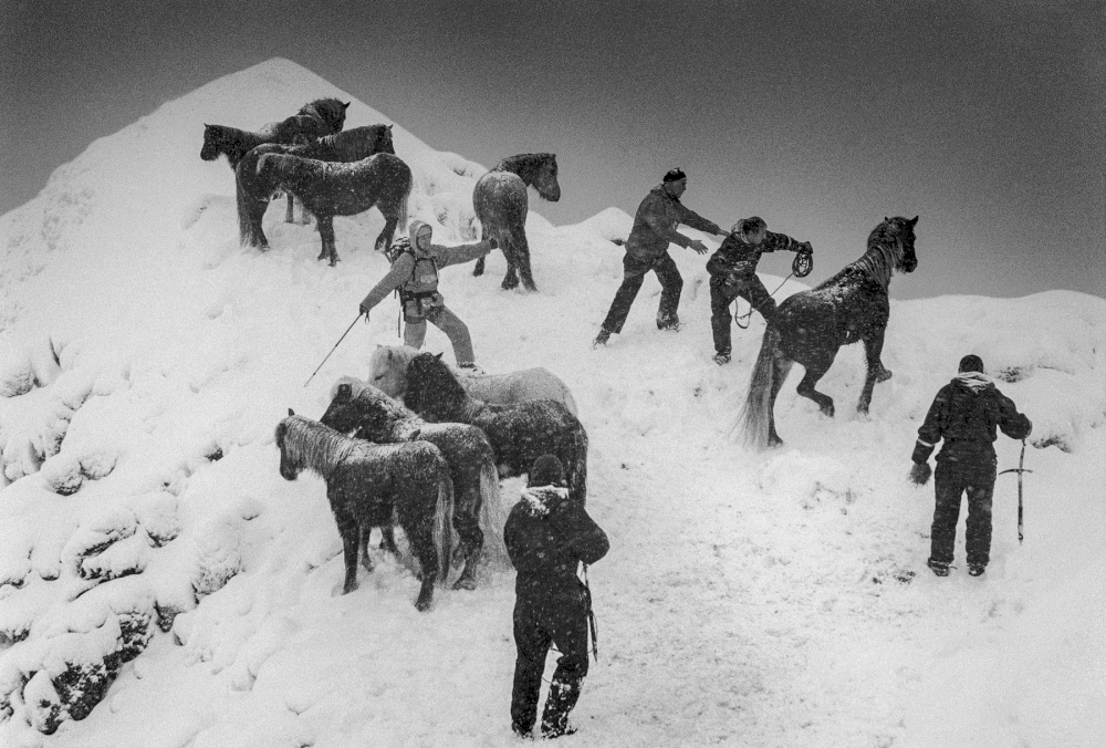 Ragnar Axelsson © Horse Rescue, Skarðsheiði, Iceland, 1995