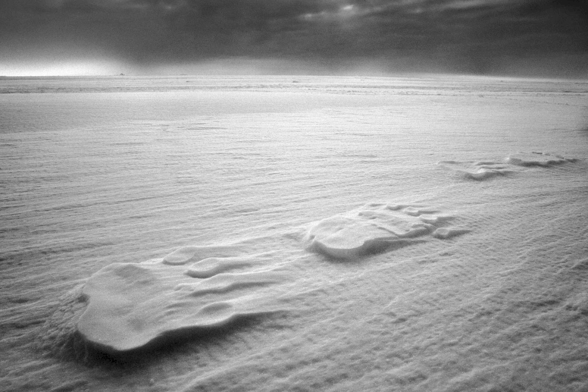 Eisbärenspuren auf dem Meereis, Grönland, 2010. © Ragnar Axelsson Eisbärenspuren auf dem Meereis, Grönland, 2010. © Ragnar Axelsson